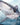 Blue Shark Art Print