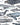 Cetaceans of the World Scientific Illustration Print
