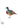 Mindanao bleeding-heart dove Illustration Original Art Work