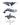 Scientific illustration of humpback whale, sperm whale and orca b y marine wildlife artist Rachel Brooks 