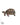 Red-footed tortoise Illustration Original Art Work