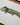 Lake Patzcuaro salamander Illustration Original Art Work