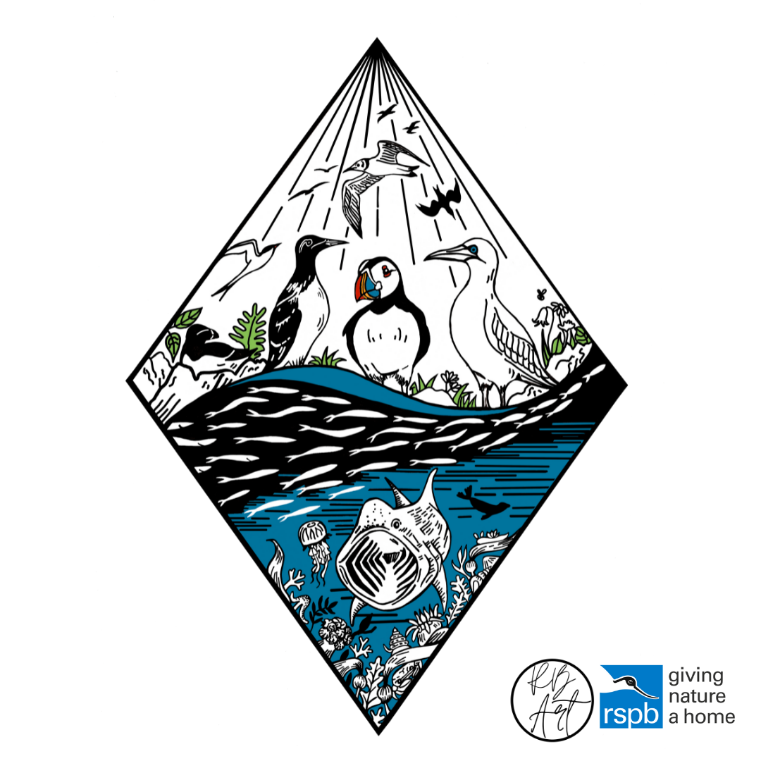 Rspb Graphics Global day of action with the RSPB! – Rachel Brooks Art