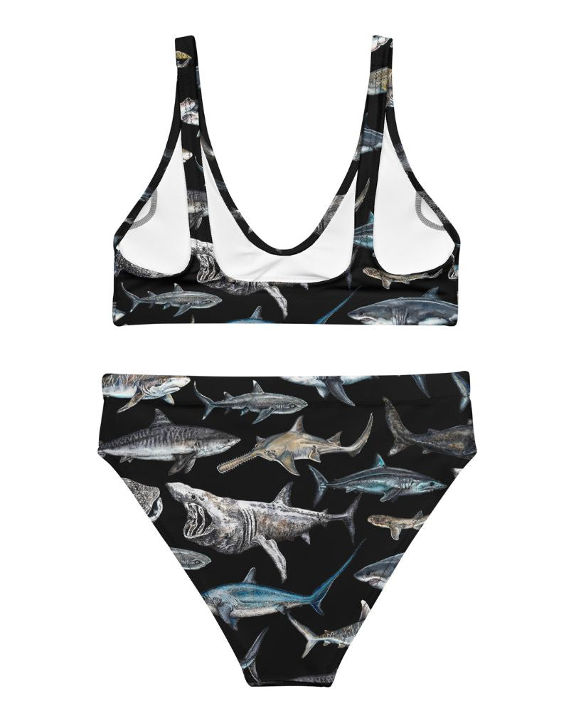 Blue Shark Art Print Bikini Swimsuit Seamless Sharks Tank Top Teenager  Swimwear Hot Sale Trendy Surf 2 Piece Bathing Suit