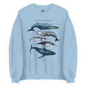 Pull De Noël "Merry Whalemas" - Sweat-shirt à Capuche Avec Motif Baleine - Cadeau Humoristique Pour Amoureux Des Baleines - 4