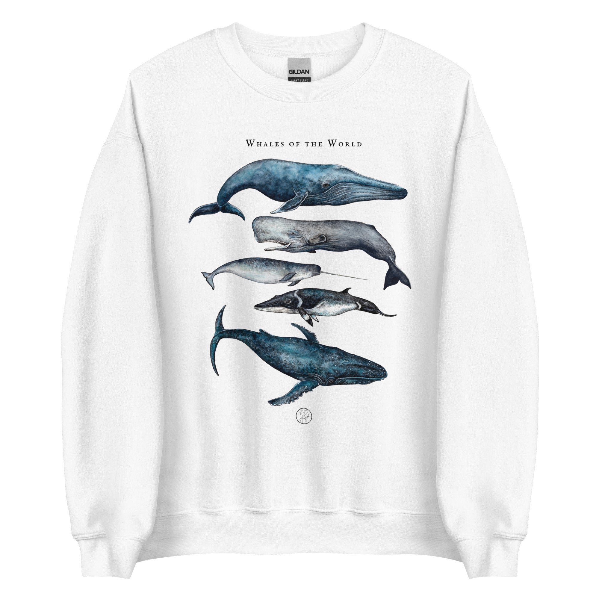 Whales of the World Unisex Sweatshirt - Main Image